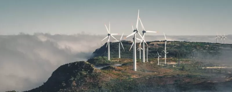 Environmental Policy | Green Journey